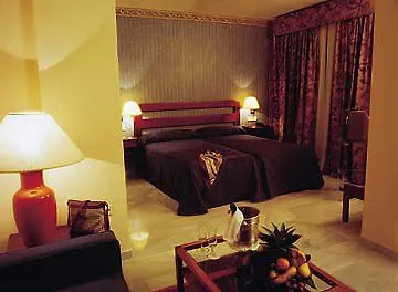 Hotel Occidental Gran Capitan 4*